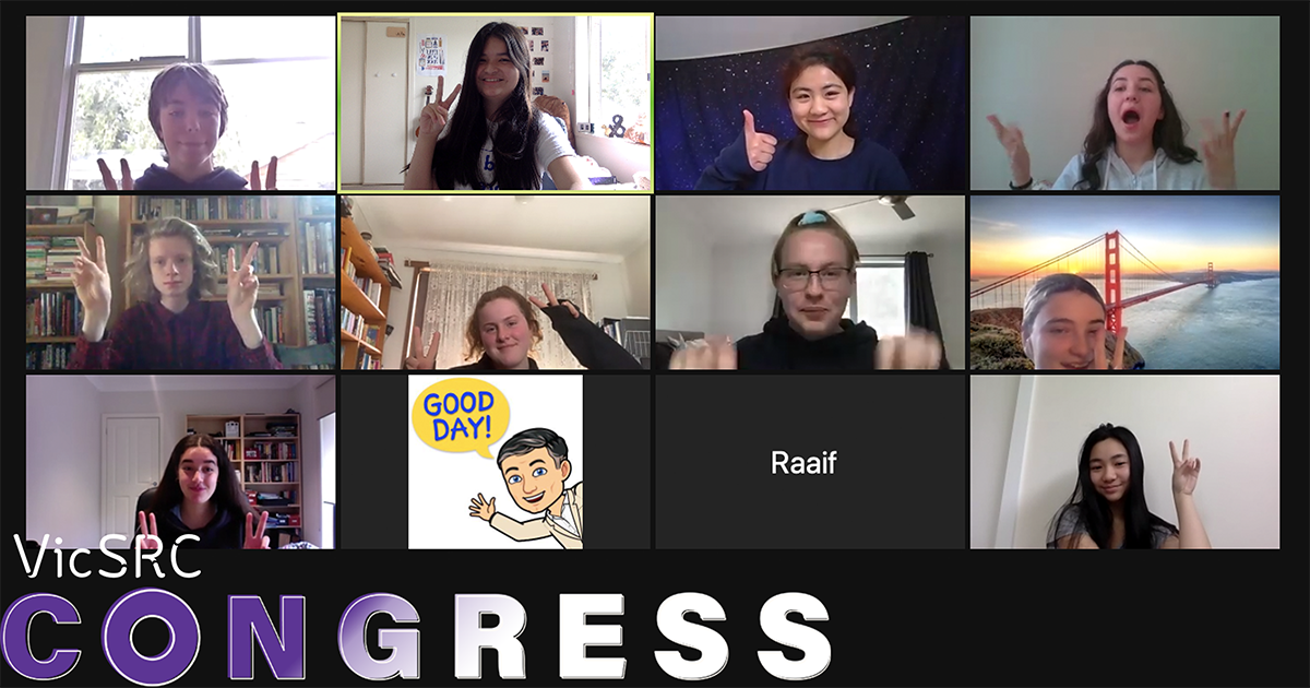 congress 2020 delegates participating in action teams via zoom